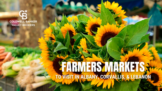 Farmers Markets to Visit Around Albany, Corvallis, and Lebanon | Valley Brokers