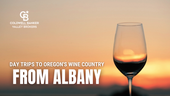 Wine Country Near Albany